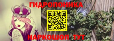 PSILOCYBIN Канаш