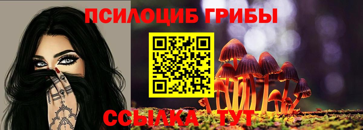 Галлюциногенные грибы Magic Shrooms  Галлюциногенные грибы GOLDEN TEACHER  Комсомольск-на-Амуре  Вход с VPN 